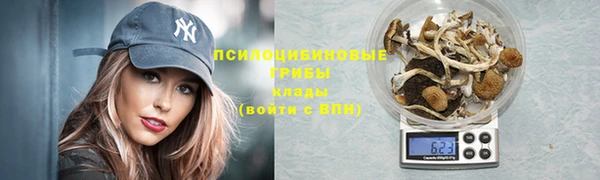ГАЛЛЮЦИНОГЕННЫЕ ГРИБЫ Лиски